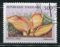 [Funghi da tutto il mondo, Scrivi CWV]