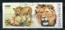 [Big Cats, type PT]