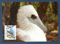 [Birds- Abbott's Booby, typ KB]