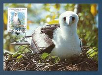[Birds- Abbott's Booby, typ KA]