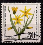 [Charity Stamps - Herbal Plants, type SS]