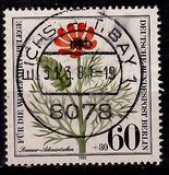 [Charity Stamps - Herbal Plants, type ST]