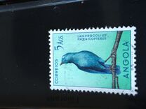 [Birds, type CF]