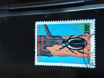 [Insects, type GF]