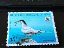 [Endangered Animals - Roseate Tern, տեսակ MD]