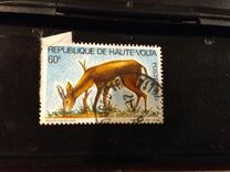 [Wildlife Protection, type ABB]