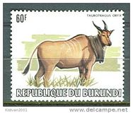 [African Animals, type AXC]
