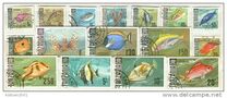 [Marine Life - Fish, 类型 Q]