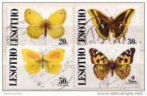 [Mariposas., tipo AGK]