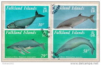 [Baleen Whales, ประเภท PP]