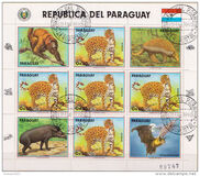[Airmail - Wild Animals, type DVD]