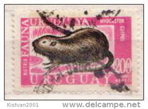 [Airmail - Local Fauna, tegund XW]