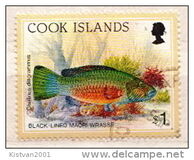 [Marine Life - Reef Life, jenis ABP]