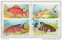 [Shallow Water Marine Fish, type PS]