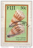 [Cone Shells of Fiji, 类型 QZ]
