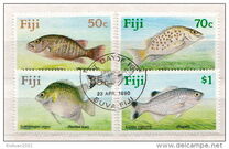 [Freshwater Fish, típus SY]