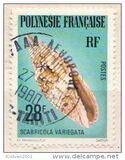 [Sea Shells, タイプ JS]