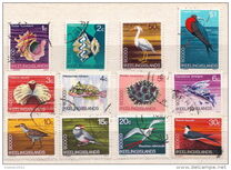 [Decimal Currency - Animals of the Cocos Islands, Scrivi N]