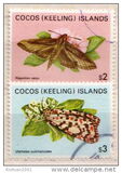 [Butterflies and Moths, 类型 CY]