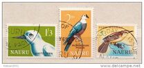 [Birds, type T]