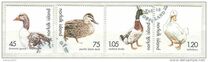 [Ducks and Geese, type YI]