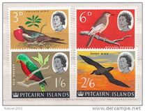 [Ships and Birds, סוג AS]