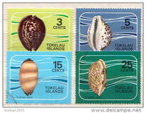 [Shells of the Coral Reefs, प्रकार AI]