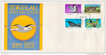 [Birds, tegund AY]