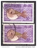 [Local Flora and Fauna - English Version, type AG]