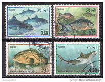 [Fish, ประเภท WD]