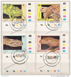 [Reptiles, type II]