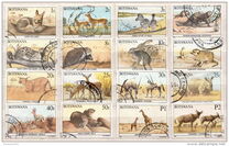 [Animals of Botswana, type OM]
