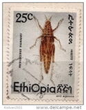 [Insects, type ACV]