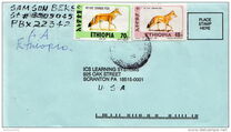 [Simien Fox - "1991" Imprint, Tip AVE32]