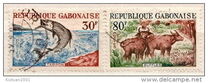 [Gabon Fauna, Typ BU]