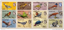 [Birds & Elizabeth II, тып CV]