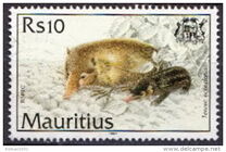 [Mammals, type VY]