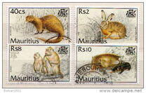 [Mammals, type VV]
