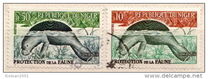[Animal Protection, típus M]