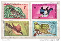 [Birds, typ IR]