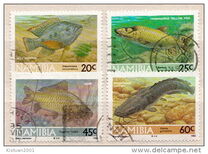 [Freshwater Angling, 類型 BA]