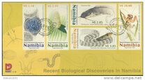 [New Discoveries in Namibia, type PO]