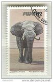 [Wild Mammals, tyyppi HY]