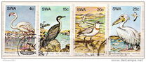 [Water Birds, Tipo GQ]
