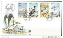 [Water Birds, Tipo GQ]