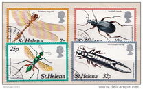[Insects, प्रकार IW]