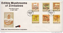 [Edible Mushrooms, ประเภท IM]
