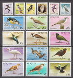 [Birds, tegund Y]