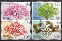[Marine Algae, Typ FB]