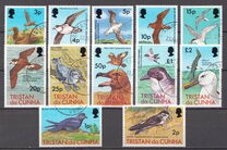 [Birds, Tipo FZ]